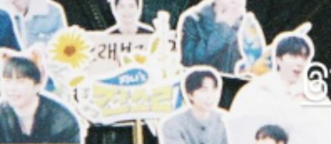 해바라기랑 제비도있어 가운데숨은건 올리브가지인가?🥺