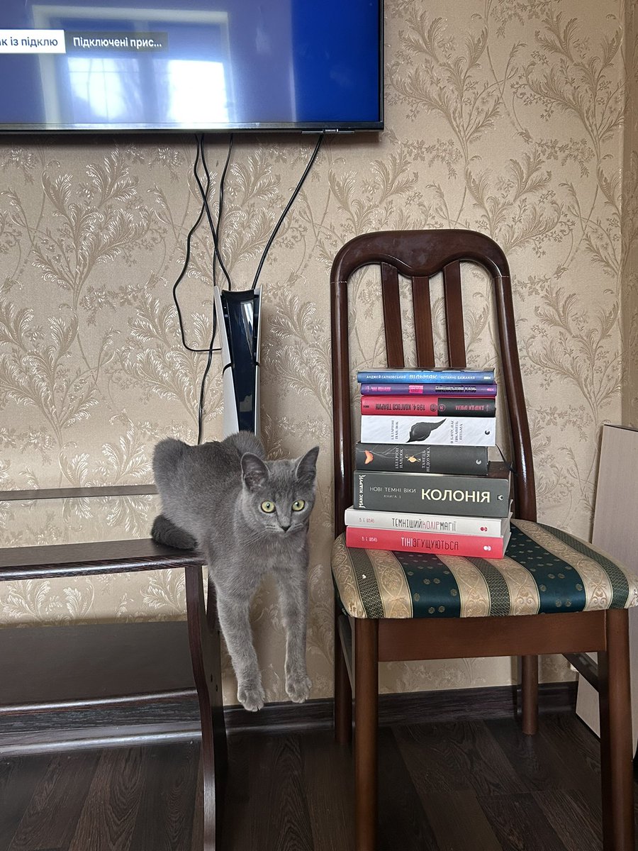 твітерський пес tweet media