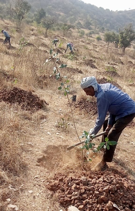 Mittal Foundation tweet media