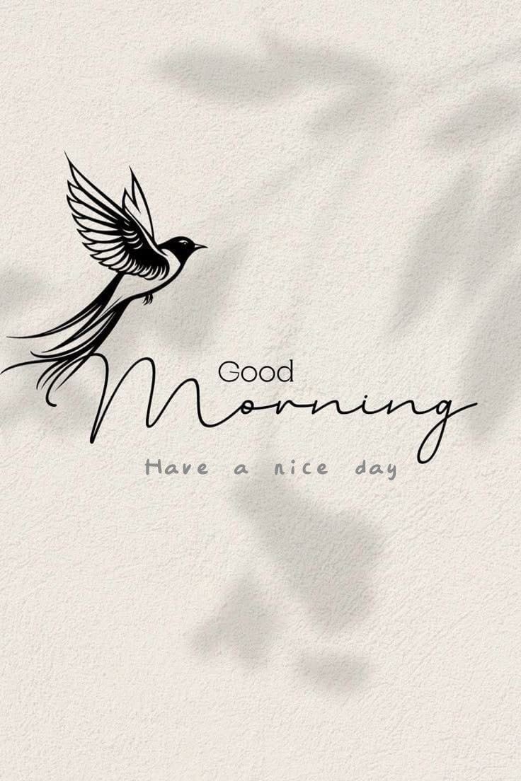 Abbookimukonyez's tweet photo. Good morning, my X grinders.  I hope you are doing well. https://t.co/pK5IeXgvV1