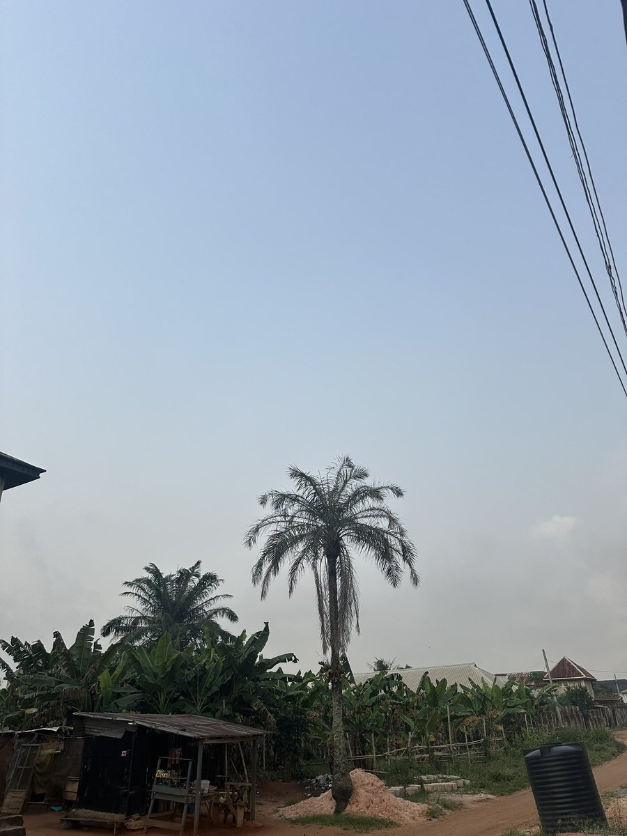 MIRAI DEGEN tweet media