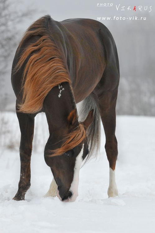 Earth Pictures 🌎🌎🌎 (@__earthpicture) on Twitter photo 