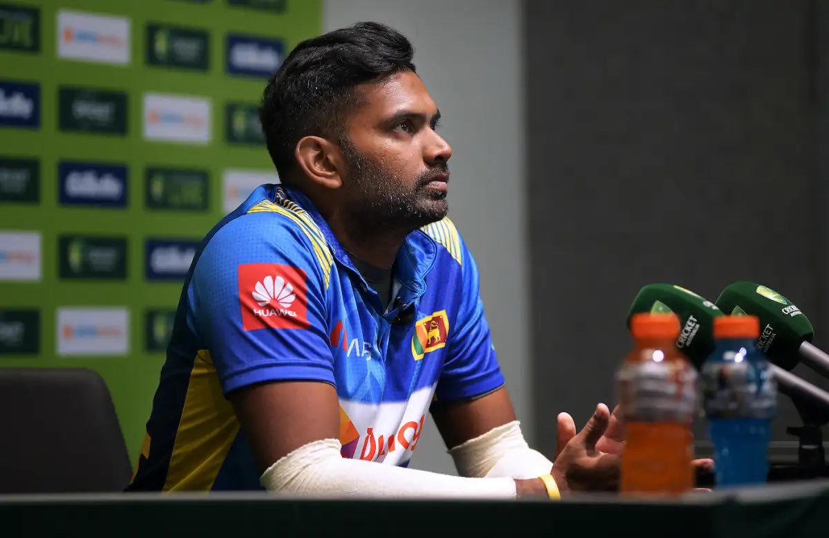 Cricketopia tweet media