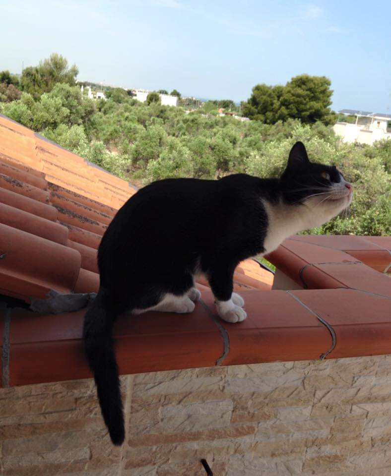 #nonConosce
<a href="/UnTemaAlGiorno/">#UnTemaAlGiorno</a>