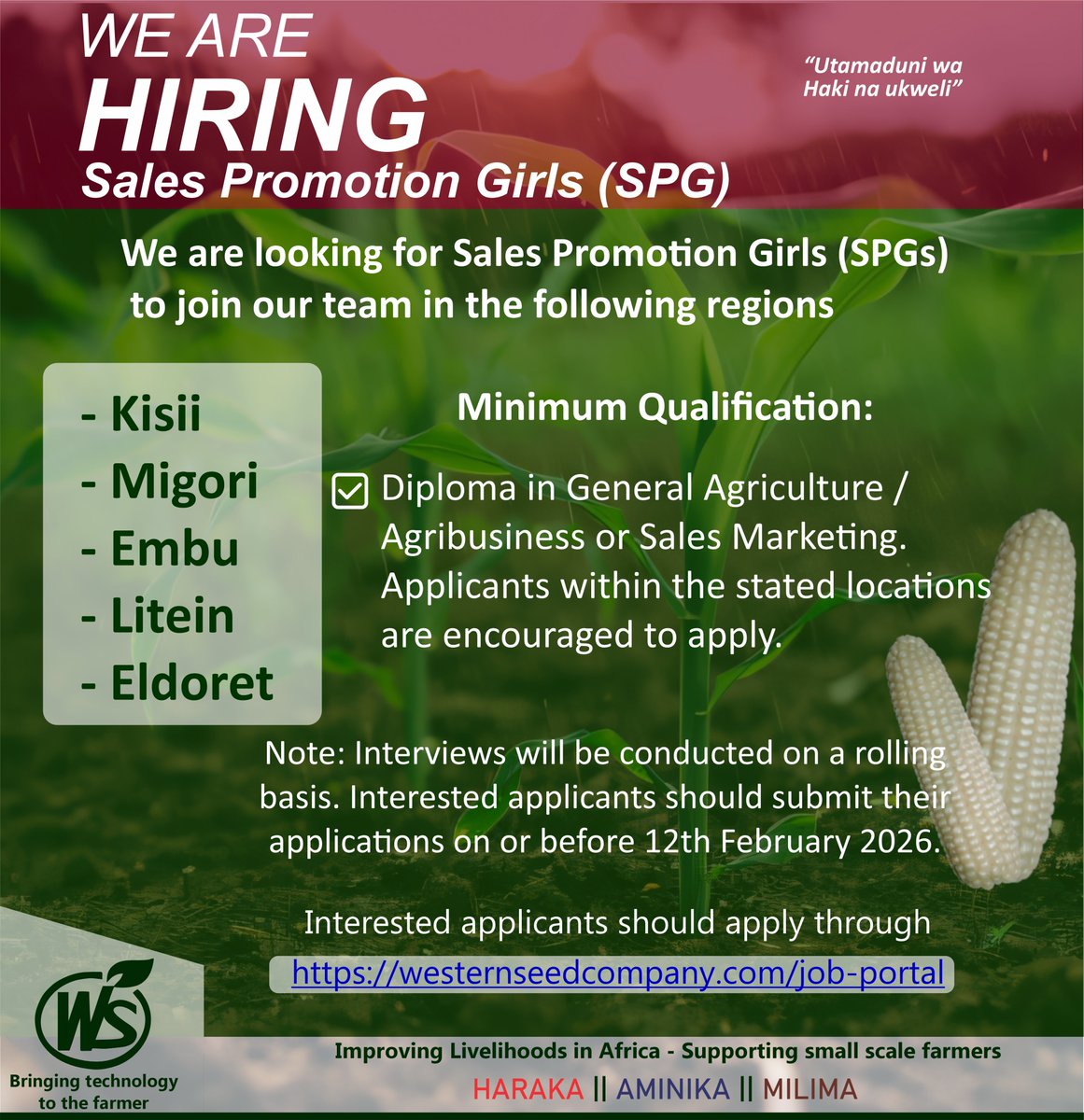 WesternSeedcom's tweet photo. WE ARE HIRING!
Apply here: https://t.co/xyZdBCypCn https://t.co/saIQlHBYpA