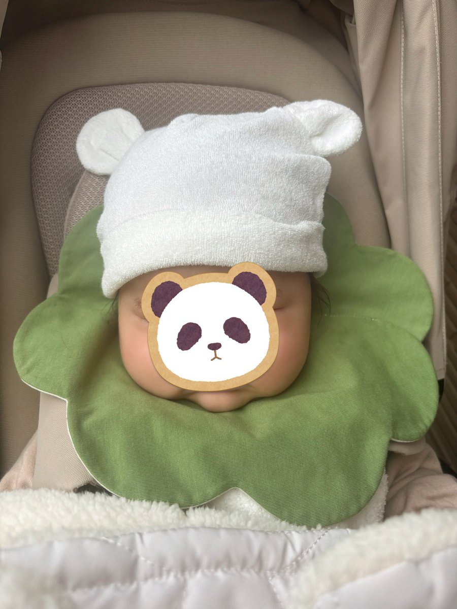 児童館で2歳児さんに、あの葉っぱのお餅の赤ちゃん持って帰るー！！！
と泣かれた😂

葉っぱのお餅、柏餅かww