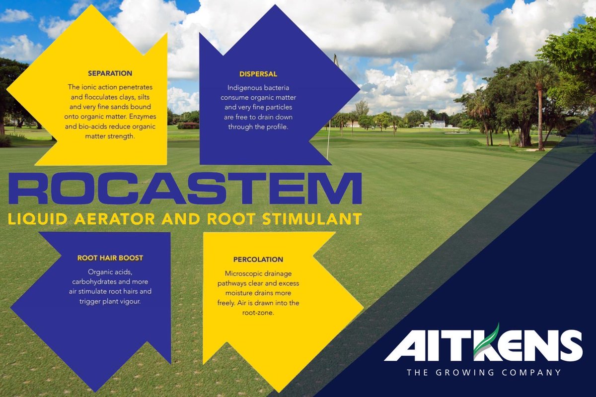 𝔸𝕀𝕋𝕂𝔼ℕ𝕊 tweet media