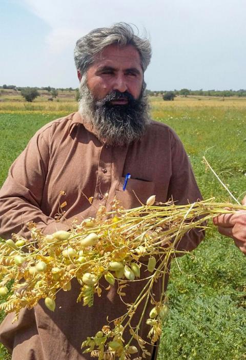 Timothy Kane tweet media