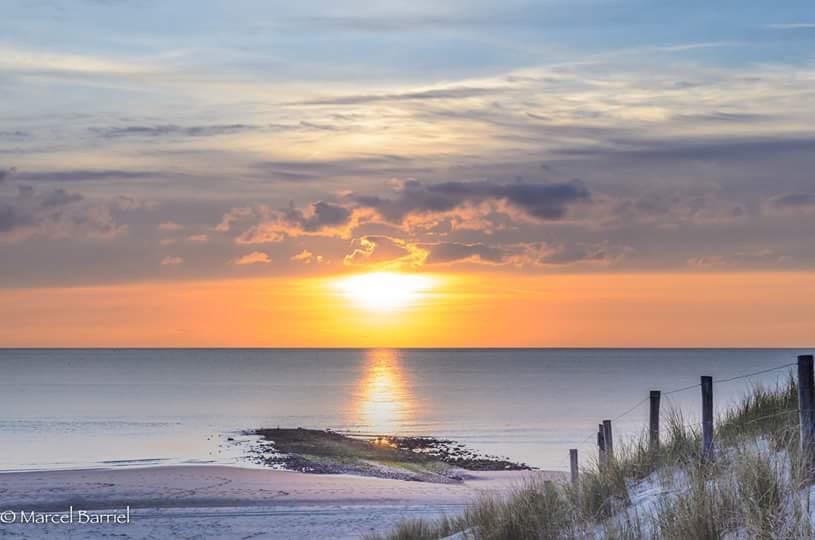 Ⓜ️arcel ☺️ tweet media