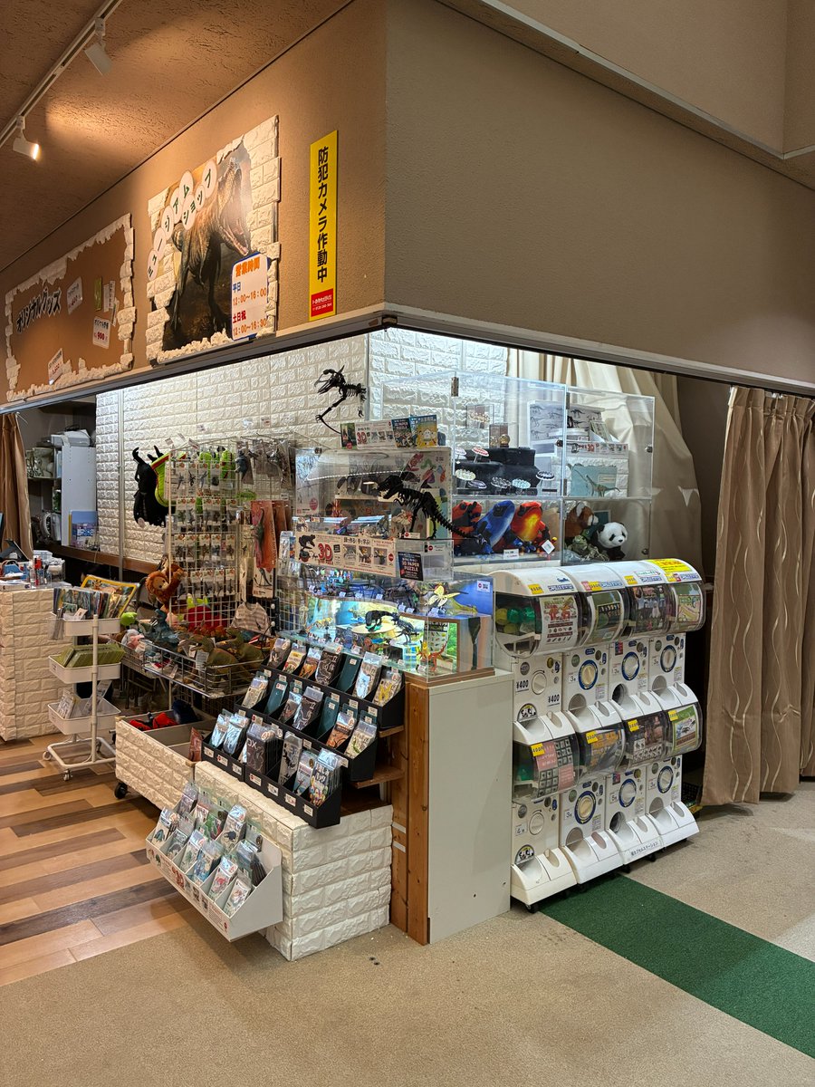 兵庫県立人と自然の博物館 tweet media