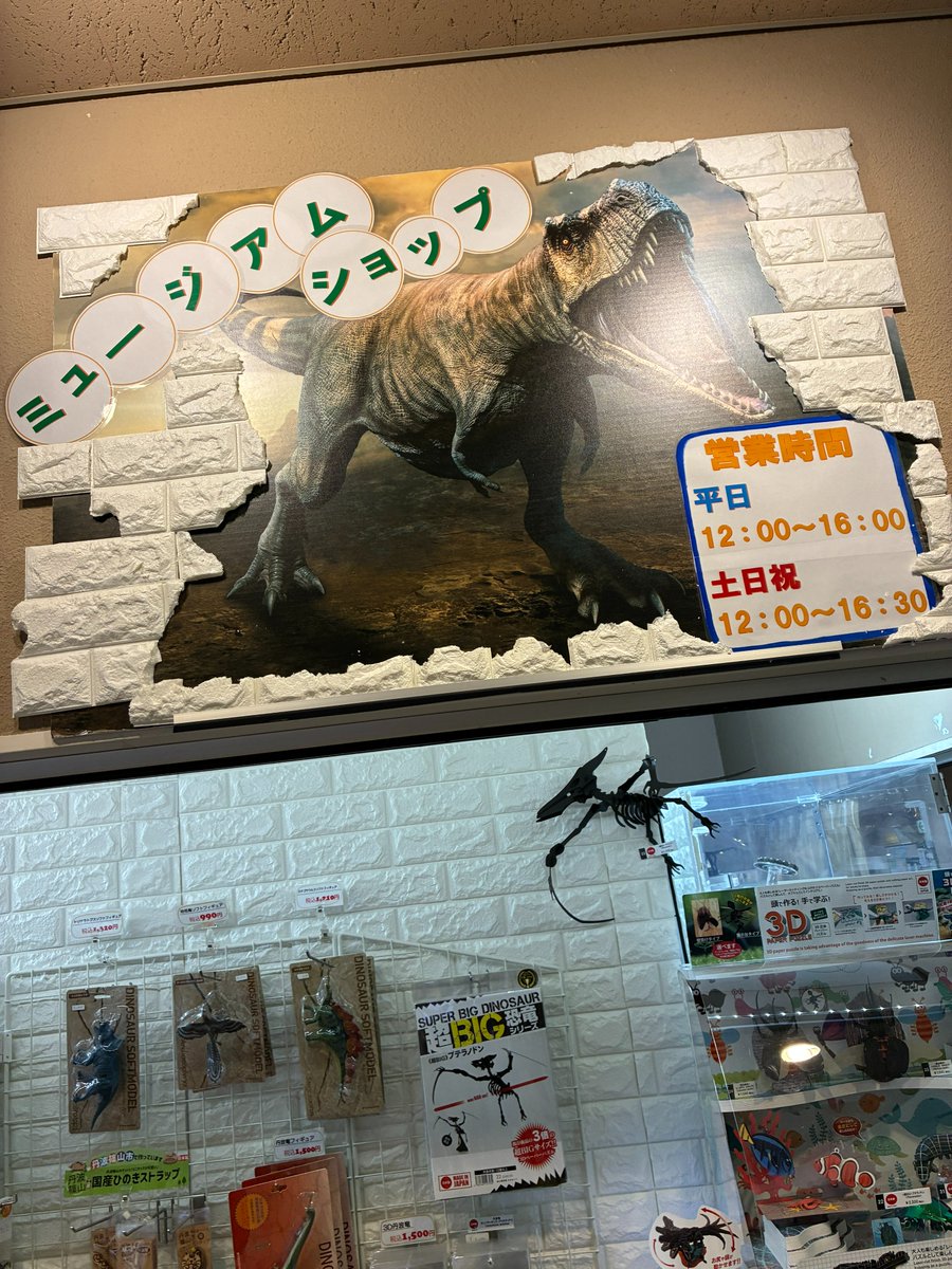 兵庫県立人と自然の博物館 tweet media