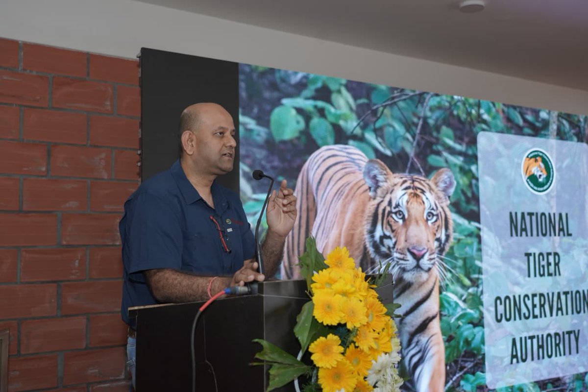 National Tiger Conservation Authority tweet media