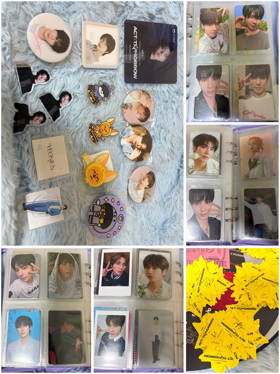 きょんテ🐶🐿 tweet media