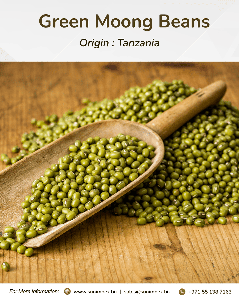 Ready for Export - Green Moong Beans

📞 Contact: +971 555 8711 63
📧 Email: sales@sunimpex.biz

🌐 Visit: zurl.co/vO4U3

#sunimpex #agro #importexport #greenmoong