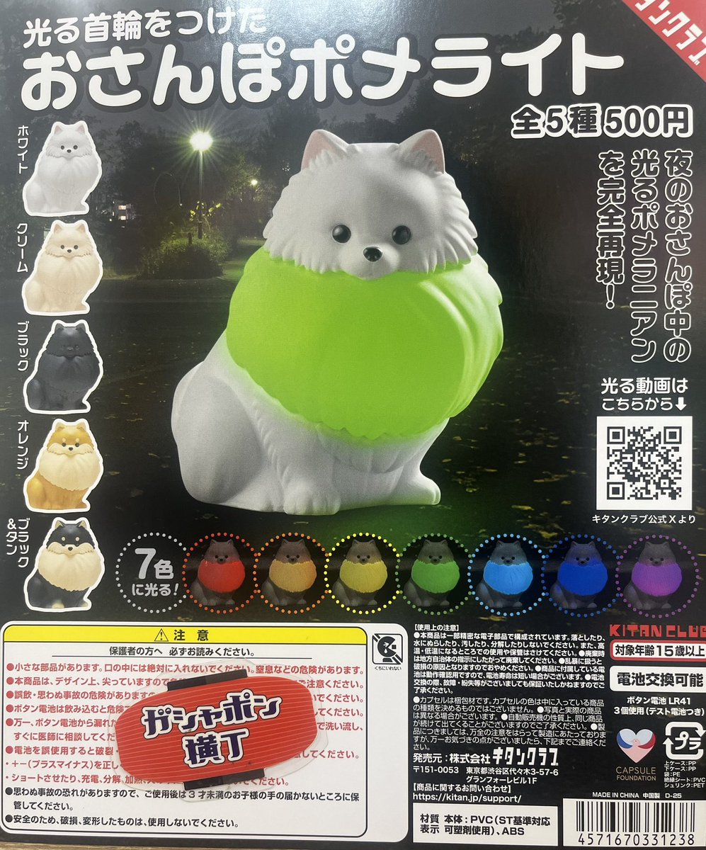 🐶光る首輪をつけた おさんぽポメライト💡 ピカピカ光る首輪をつけた