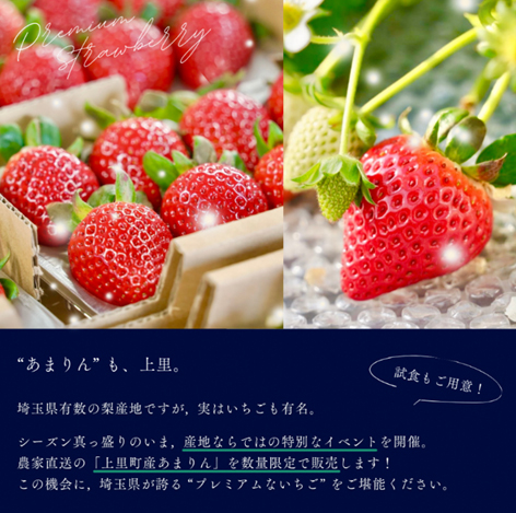 2/14(土)に、関越道 上里SAで埼玉県上里町産いちご「あまりん」の試食