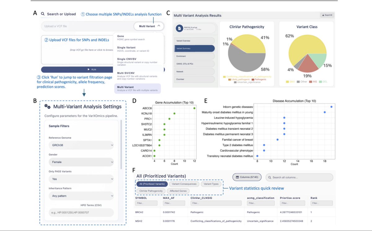Prof. Dr. Hasan Türkez tweet media