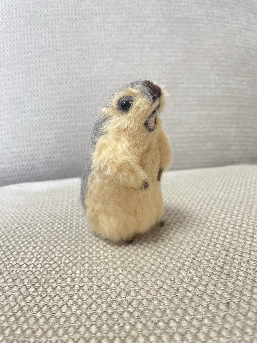 叫ぶマーモット #マーモット #羊毛フェルト #kiyon #バンビーナマルシェ