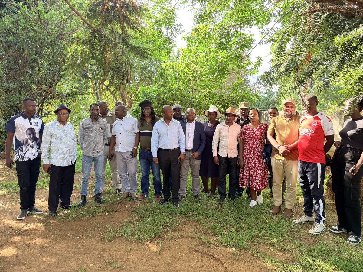 Agency Gumbo tweet media