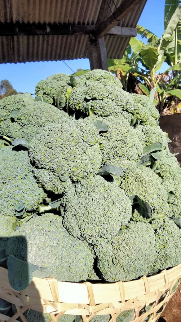 AbU JenaR tweet media