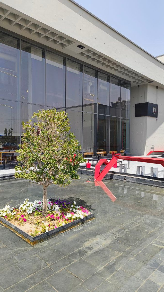 Mahdi Khodadadi tweet media