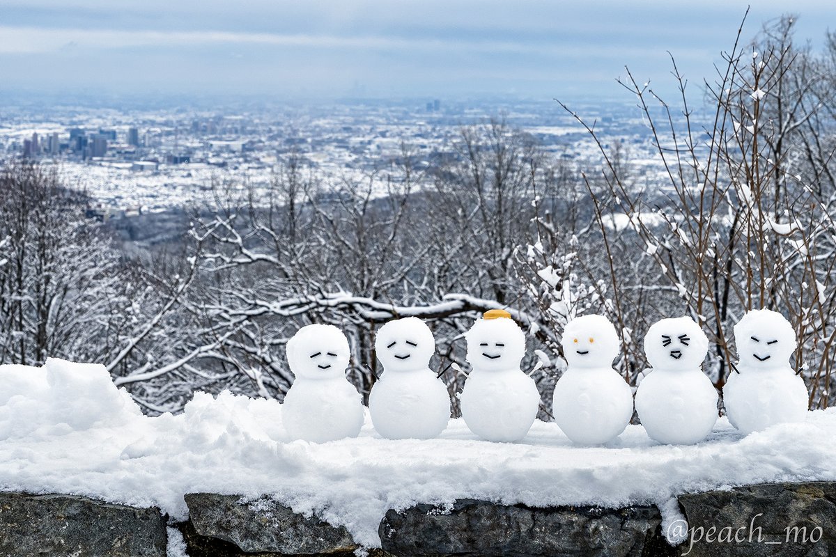 2月8日に高尾山の山頂で雪だるま作った人出てきなさい

『とても良かったで賞』をさしあげます