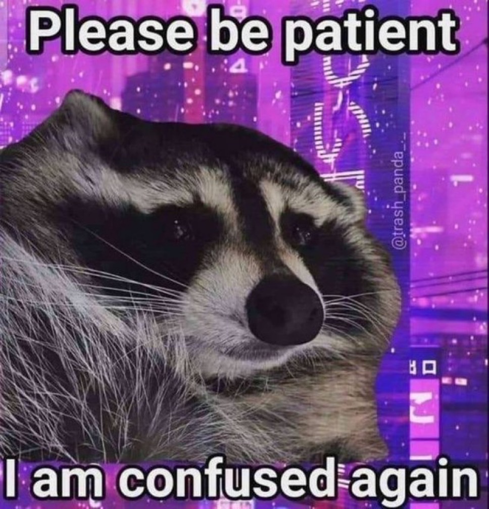 raccoon aesthetic. (@raccoonesthetic) on Twitter photo 