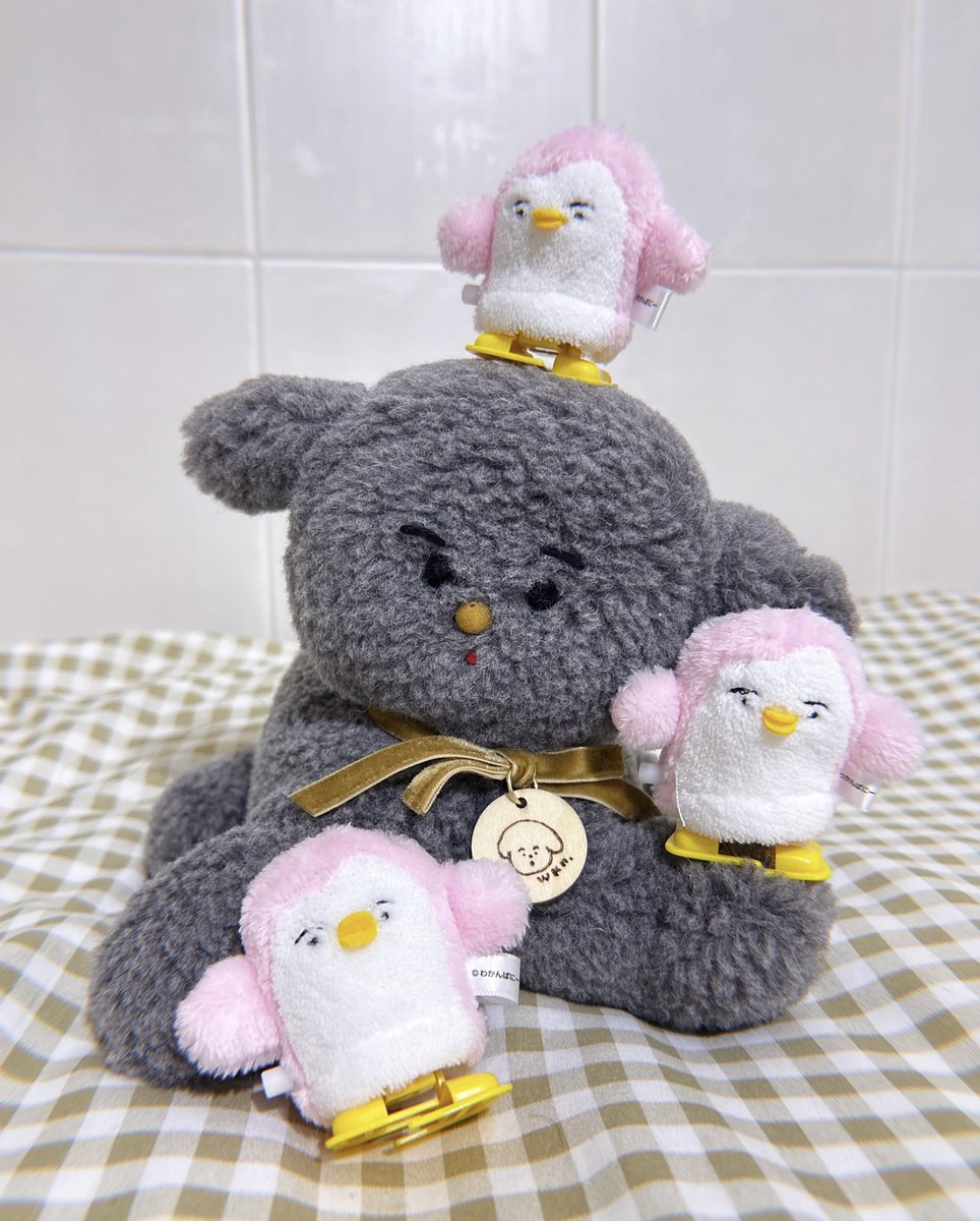 わかんぱにー☺︎ (@wkn8) / Posts / X