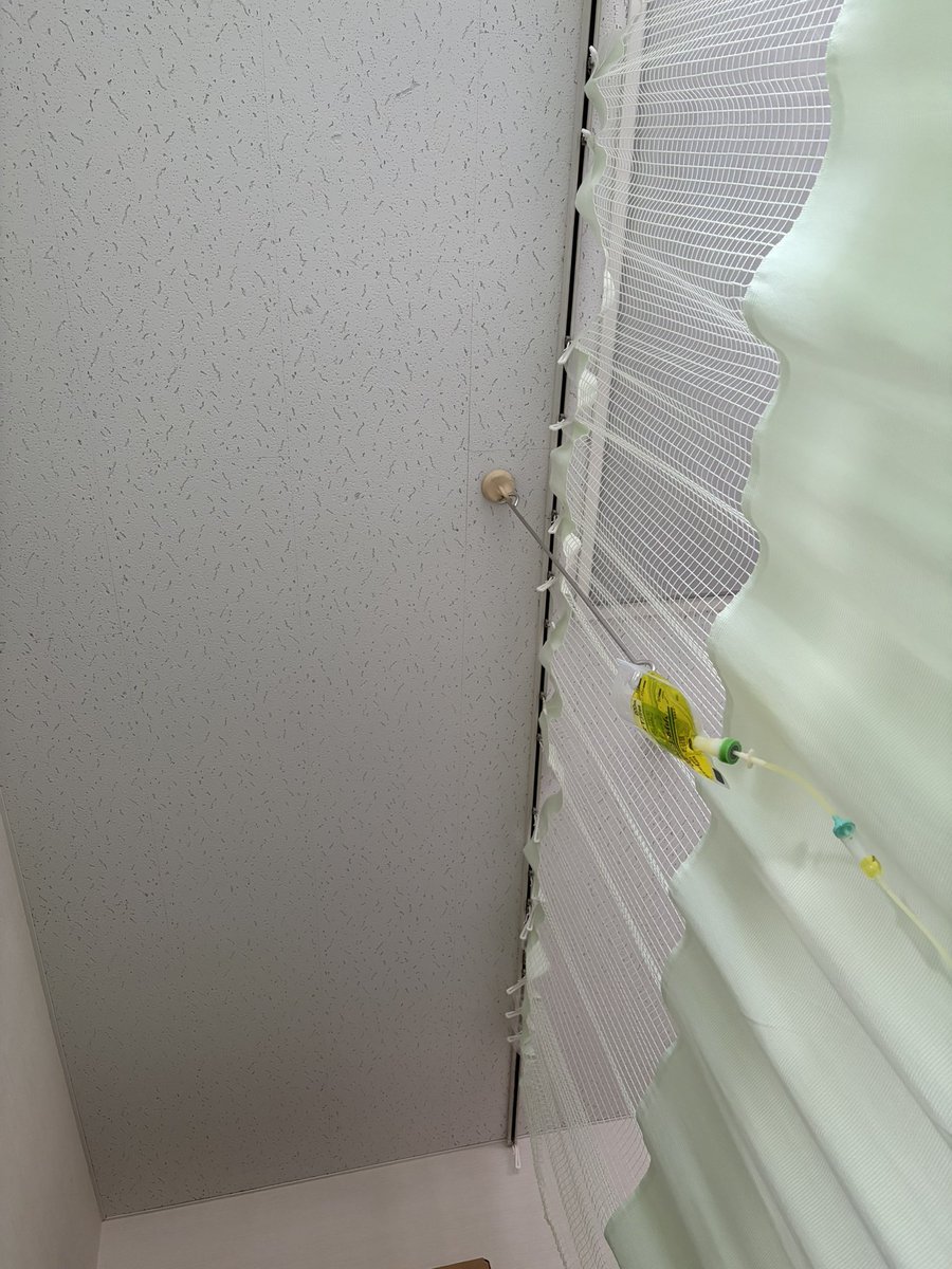 タイトル「知らない天井」