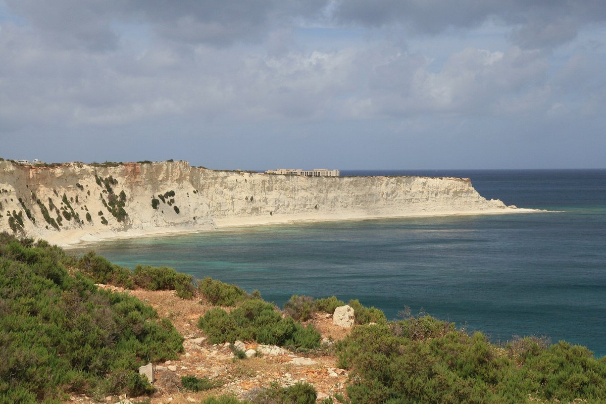 MAMBO Project tweet media