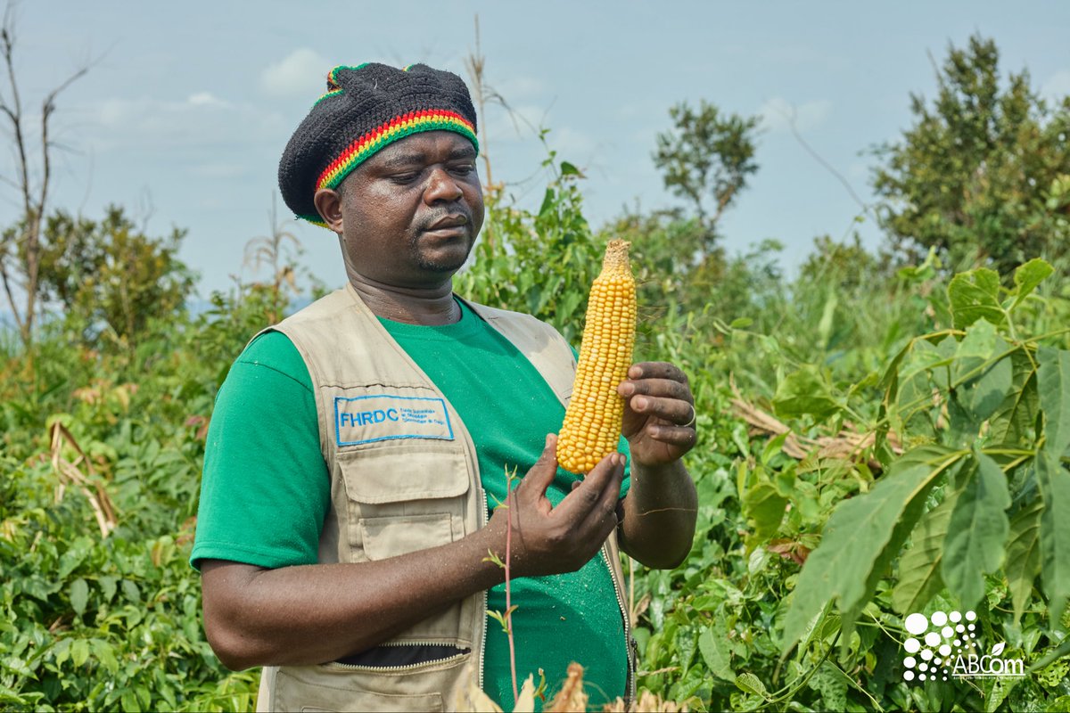 ABCom_ONGD's tweet photo. Ici, la terre a fait sa part!
Nourrir ceux qui l'ont semé !

#Agriculture #Investinhumanity https://t.co/ZMgGmYoT9x