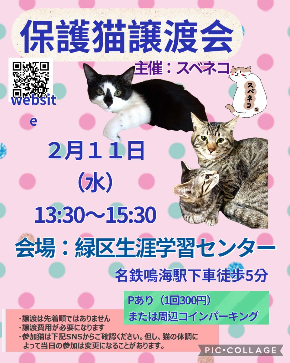 subeneko5656's tweet photo. #拡散希望

保護猫譲渡会

ぜひ来てください🐾
2月11日（水）
午後1時30分～3時30分
緑生涯学習センター
名古屋市緑区鳴海町本町54
名鉄名古屋本線鳴海駅
下車徒歩5分
※Pあり（1回300円）
周辺コインパーキングあり

かわいいねこちゃんがお待ちしております🐾

#愛知県名古屋市
#保護猫譲渡会
#ねこ https://t.co/gaFb5UaYXL