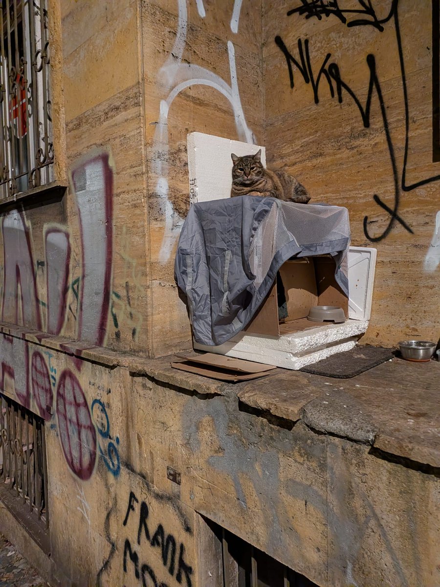 LindyMan tweet media