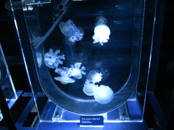 ⋆˚࿔ tweet media