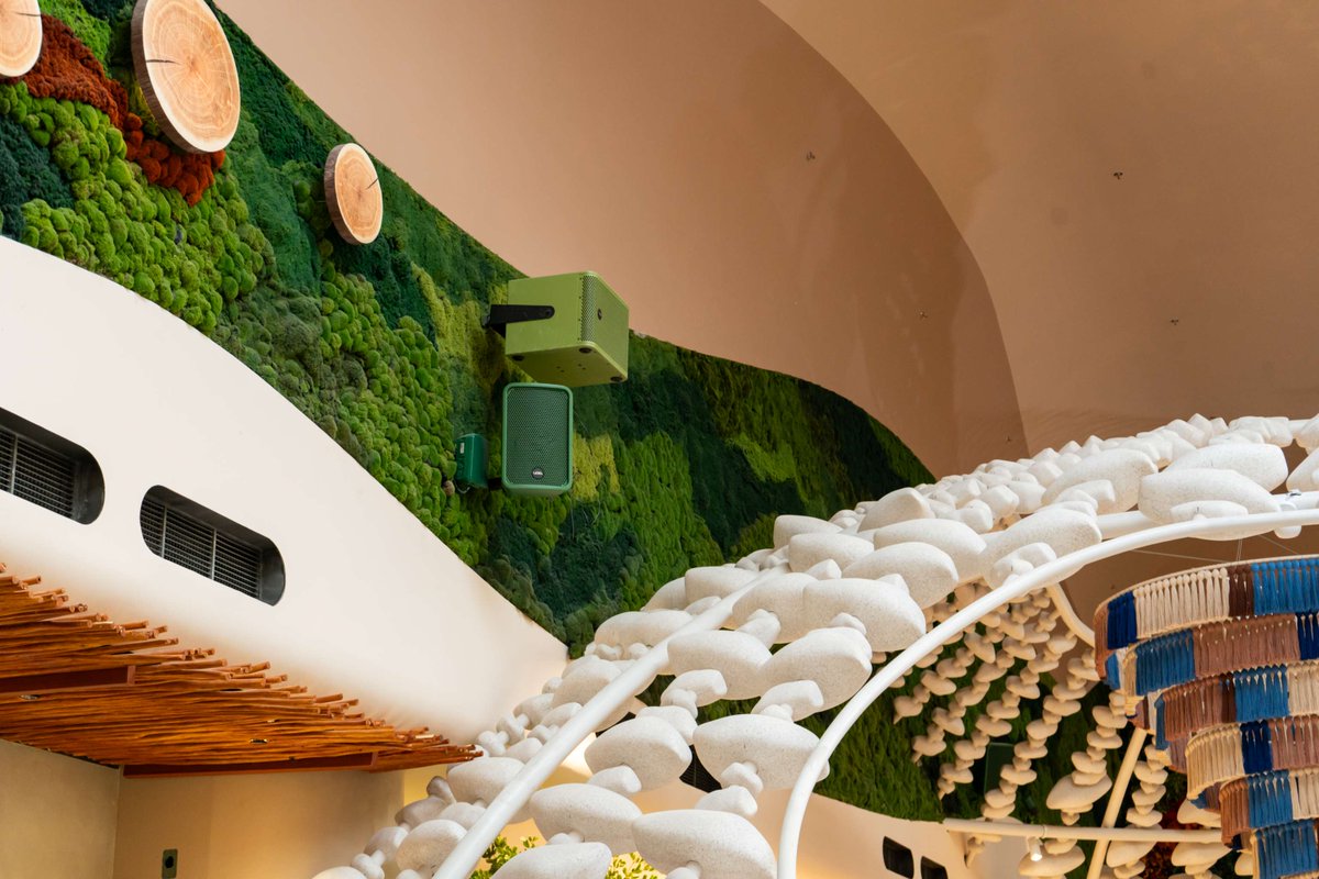 Void Acoustics tweet media