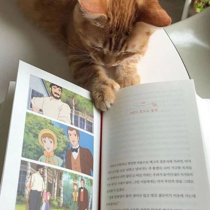 💭💙,
Have   a   good   rest,   love!