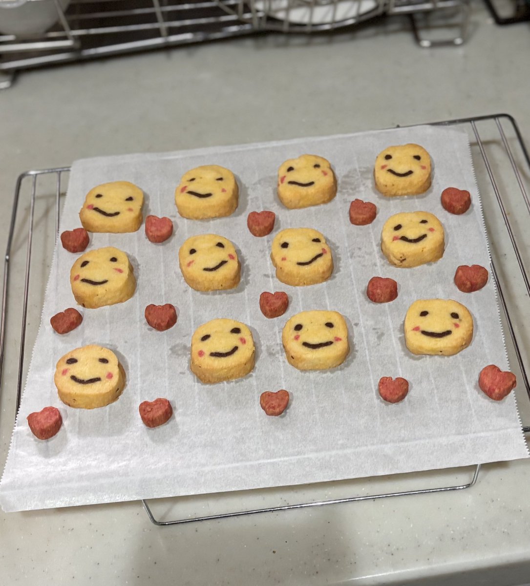 おとうふ📛 (@otodesu_ttky) / Posts / X