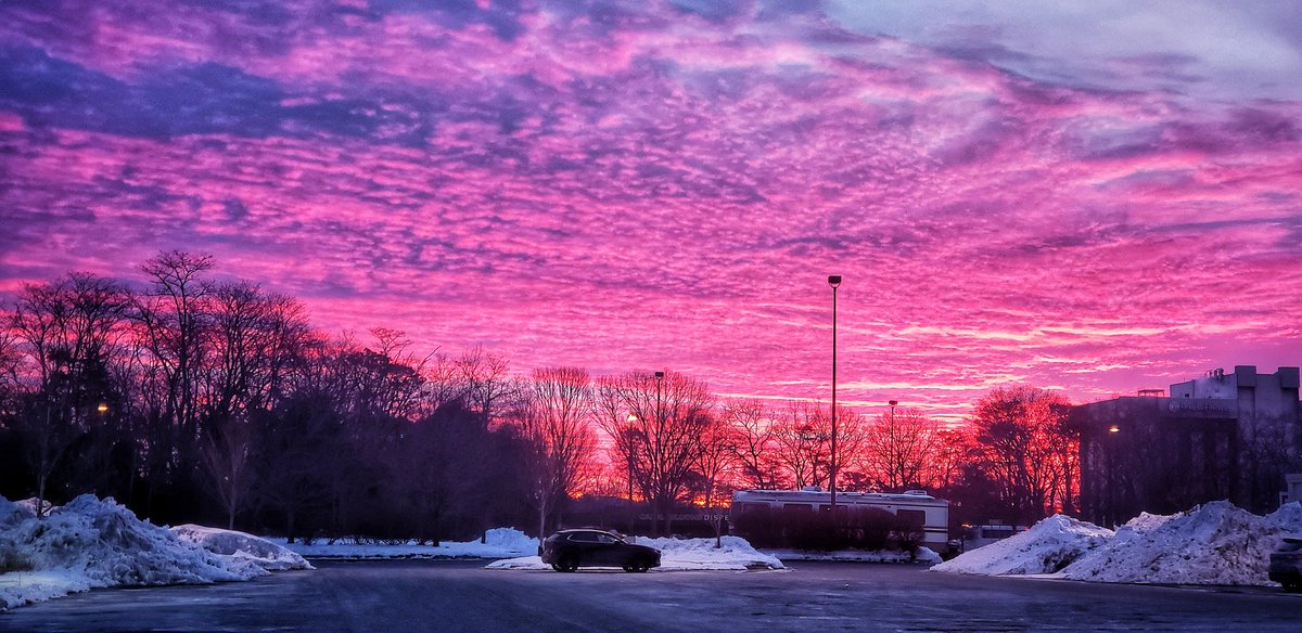 Sapo Man Photography 😃 tweet media