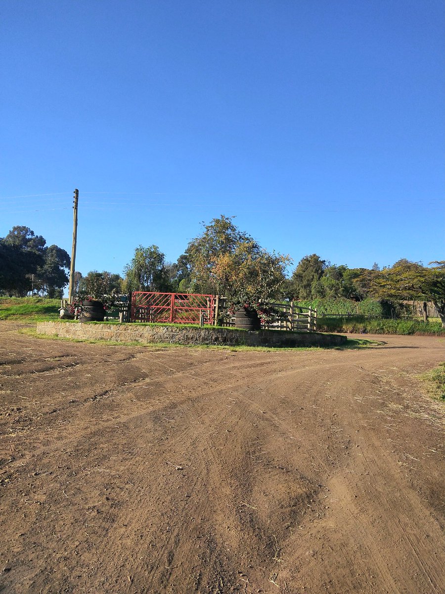 MrRelatables's tweet photo. Kembu Cottages, Kembu Campsite, Kenana Farm🇰🇪
#photography #picoftheday #picofthemoment #Relatables https://t.co/fbNKJZXEn9