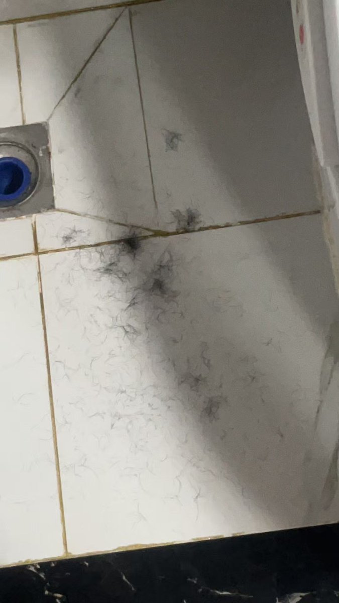 凉兮将军（与邪恶对抗，善良的支黑） tweet media