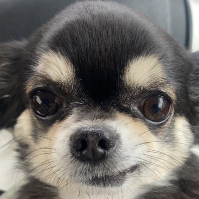 新しいプロフィール画像