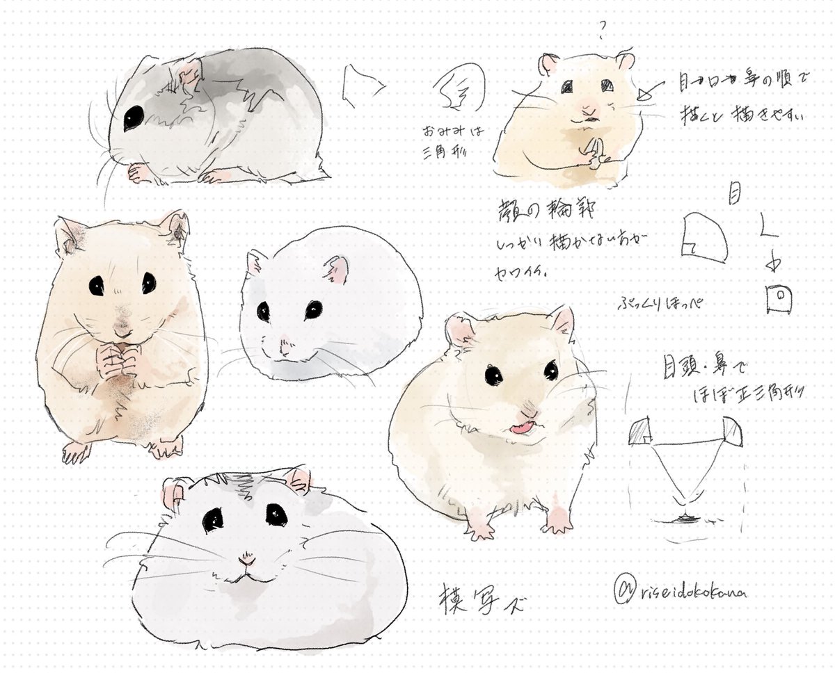 合鴨ミケランジェロ@単行本「ふたりのけもの２」🐺🦌 tweet media