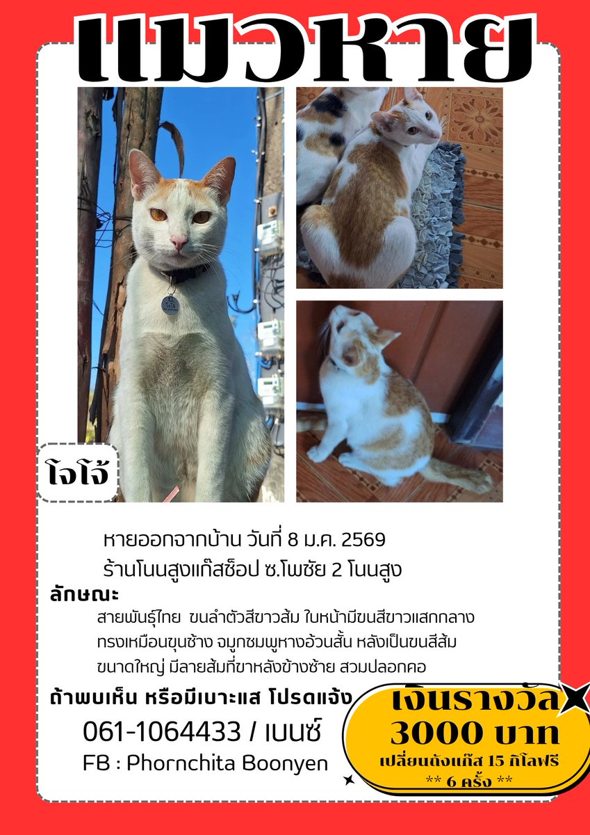 Benzgai (เบื้องหลังของหนุ่มใหญ่) tweet media