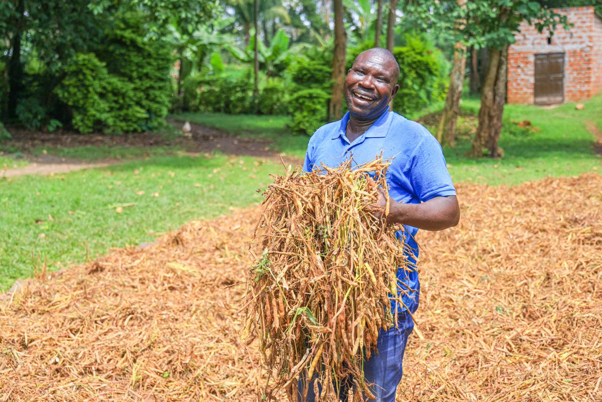 Better harvest. Better health. Better life.  
For years, farmers were steered toward tobacco, an expensive crop that often left them with losses.  

Now, the high‑iron Nyota bean is changing the game:  
✔️ Costs a fraction to grow  
✔️ Brings in multiple times more income  
✔️
