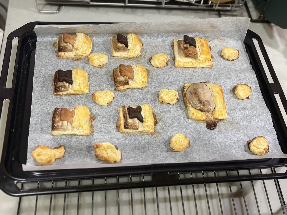 おとうふ📛 (@otodesu_ttky) / Posts / X