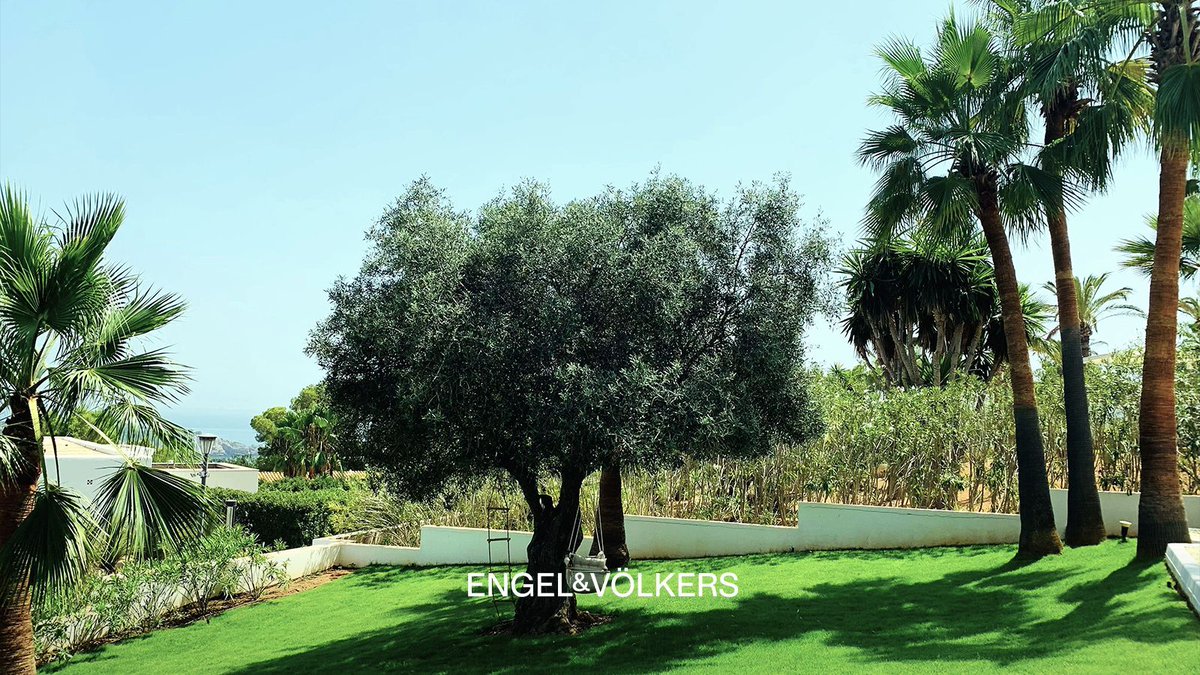 EVIbiza's tweet photo. 🏆 Ibiza Holiday Rental: sophisticated villa in Vista Alegre.
Panoramic sea views, modern architecture, prestigious location. Details: https://t.co/m7IL3gPe0x

#EngelVoelkersIbiza #LuxuryVilla #IbizaLuxuryRental https://t.co/gtXtJ6out4