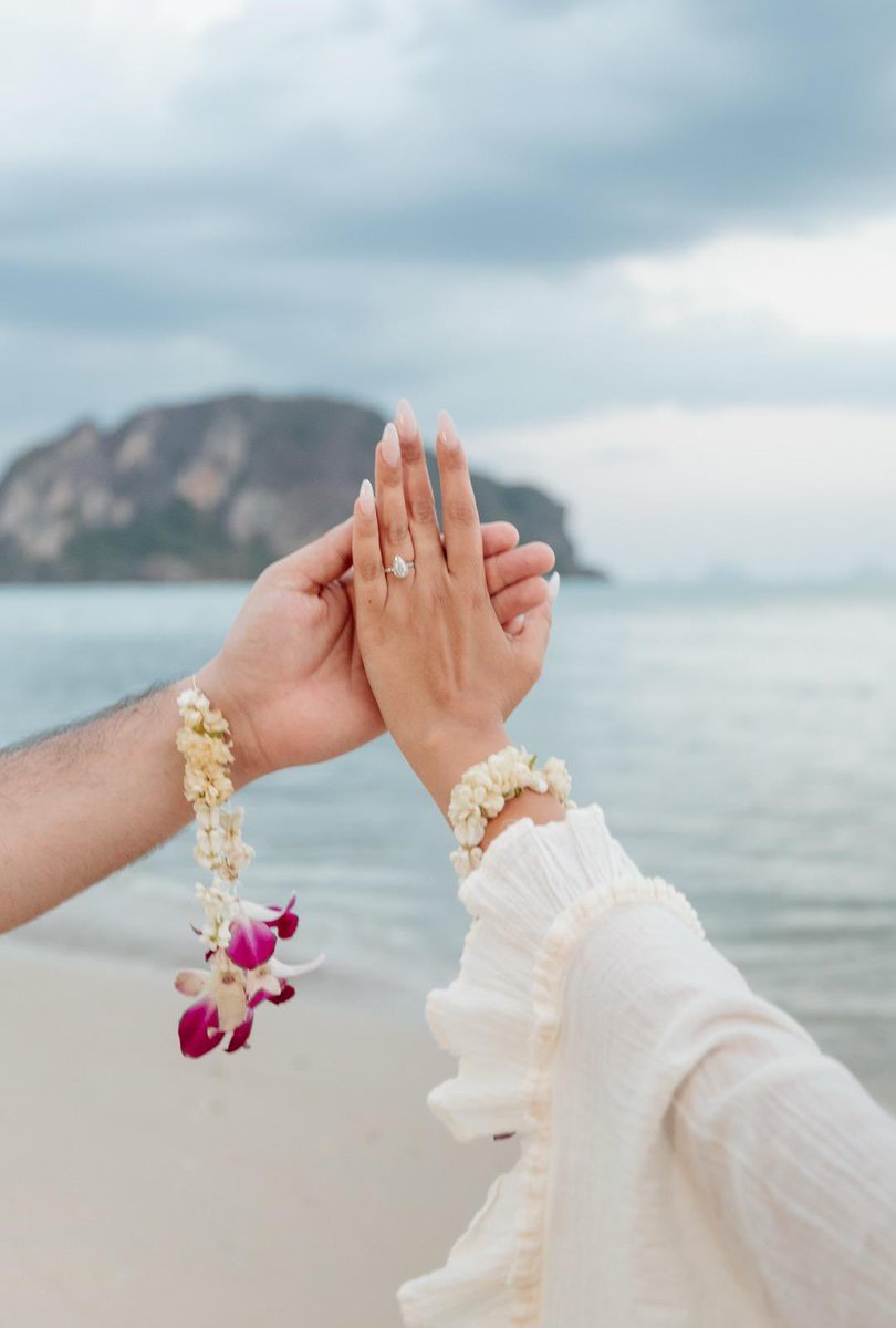 moshe bruchim tweet media