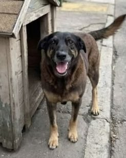 Robserobtor tweet media