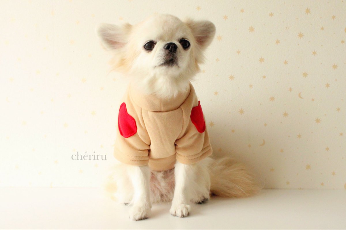 _cheriru's tweet photo. ° .*♡ 𝗽𝗶𝗰𝗸 𝘂𝗽 ♡*. °

✓ ハートパッチトップス🤎

裏起毛とハイネックでしっかり防寒できる
暖かそうなお洋服です！

┈┈┈┈┈┈┈┈┈┈┈┈┈┈┈┈┈┈┈

✔︎ 全ての商品が即納📦
✔︎ 当日〜3日以内に国内より発送🚚

┈┈┈┈┈┈┈┈┈┈┈┈┈┈┈┈┈┈┈

#chériru

#愛犬 #犬服 https://t.co/RxVBChYxr3