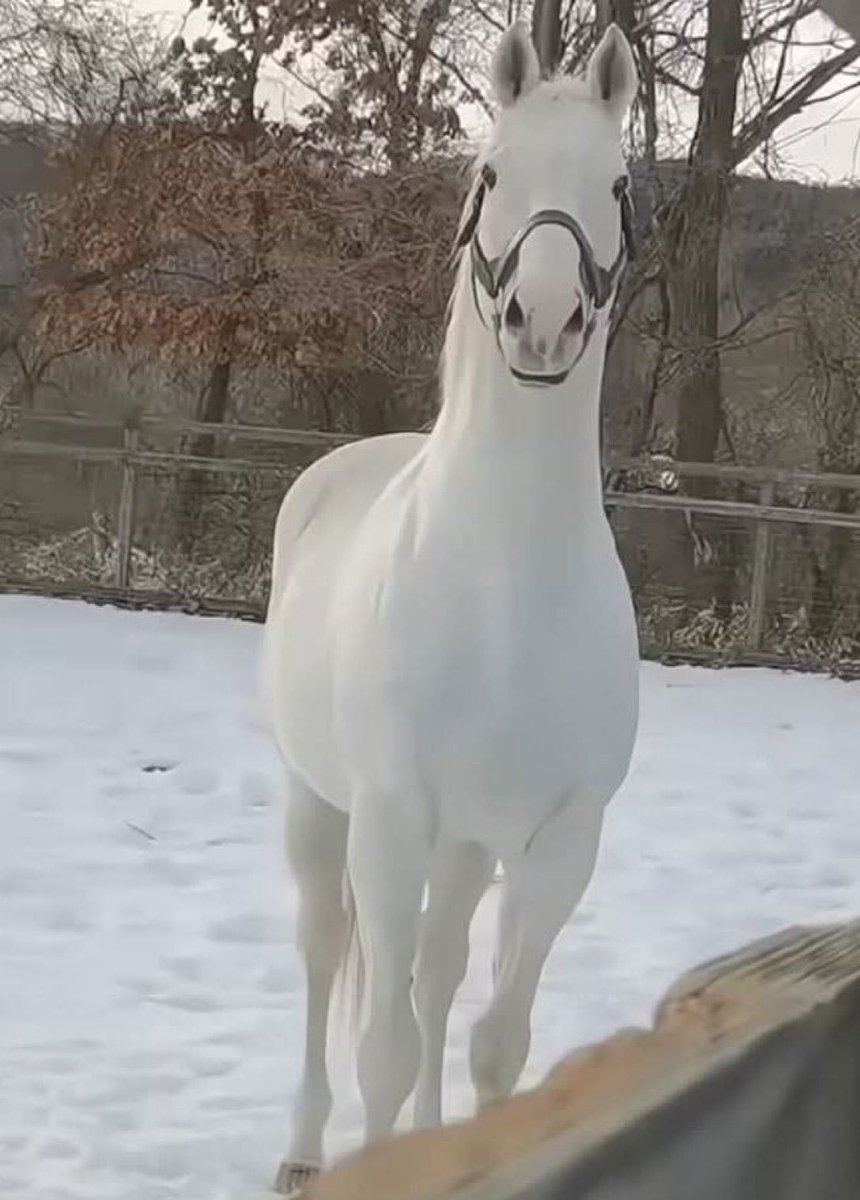 he’s so perfectly white its kinda scaring me